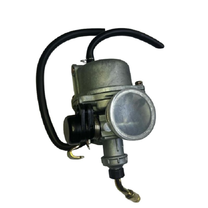 GENERICO - Carburador Moto Boxer Ct - Platino 100