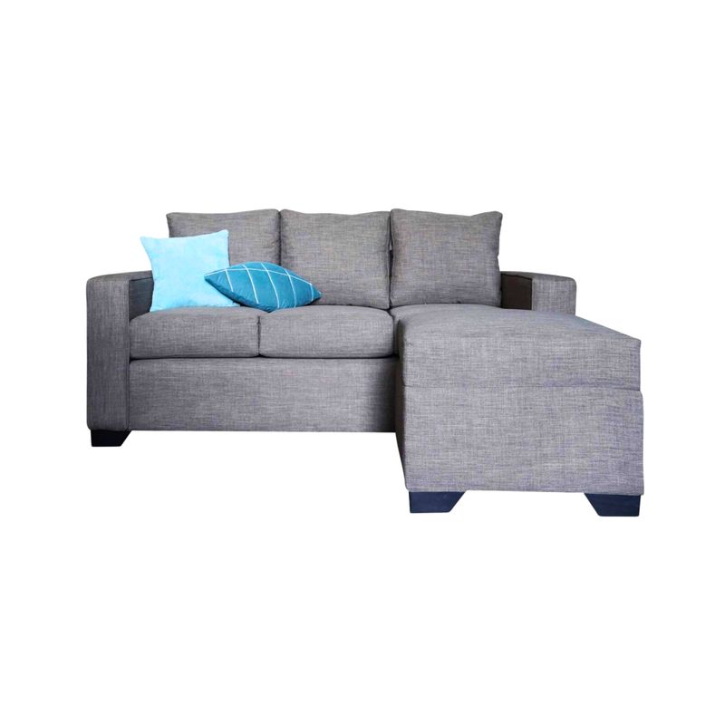 GENERICO - Sofá Staic 2 Puestos Moderno Tela Antifluidos 182x85x85 Gris