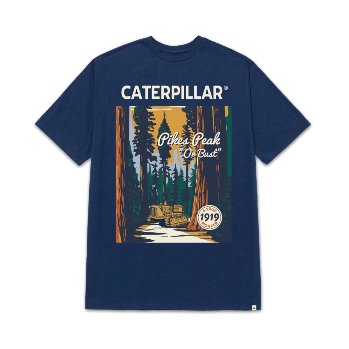 CAT - Camiseta Hombre CAT PROJECTS GRAPHC TEE Azul 2 CAT.