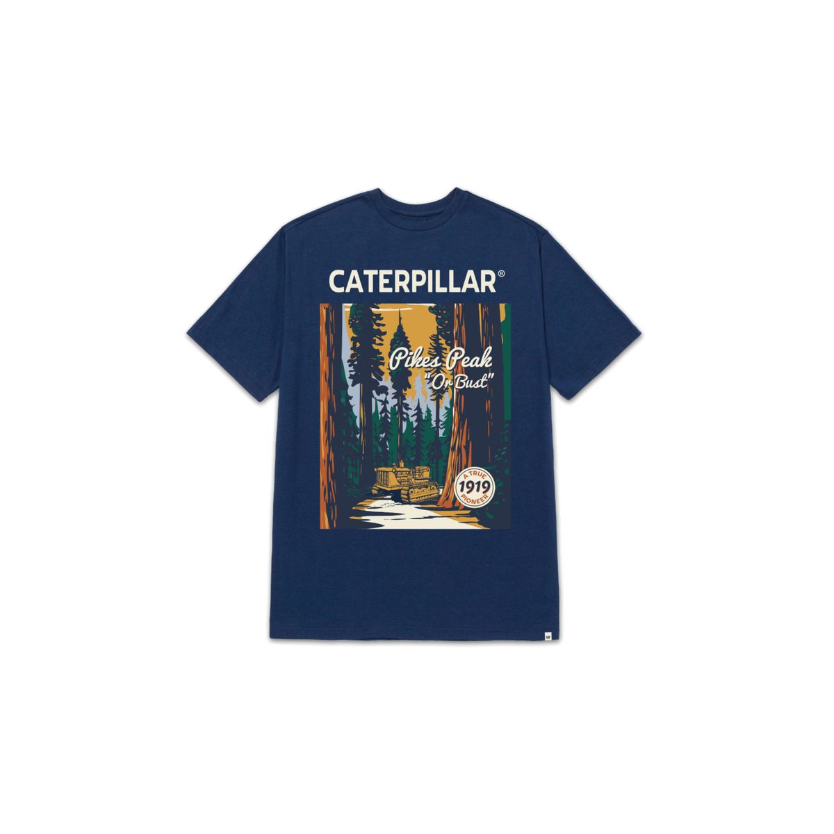 CAT - Camiseta Hombre CAT PROJECTS GRAPHC TEE Azul 2 CAT.