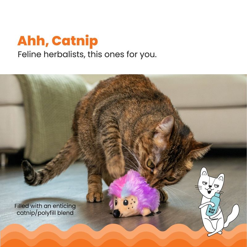 GENERICO - Catstages Plushies Hedgehog Plus Peluche Gato