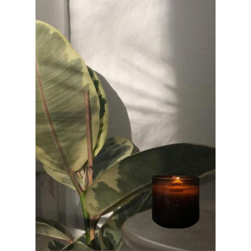 SELVAJE - Vela Palmar - Coco, Lima & Verbena 210 gr