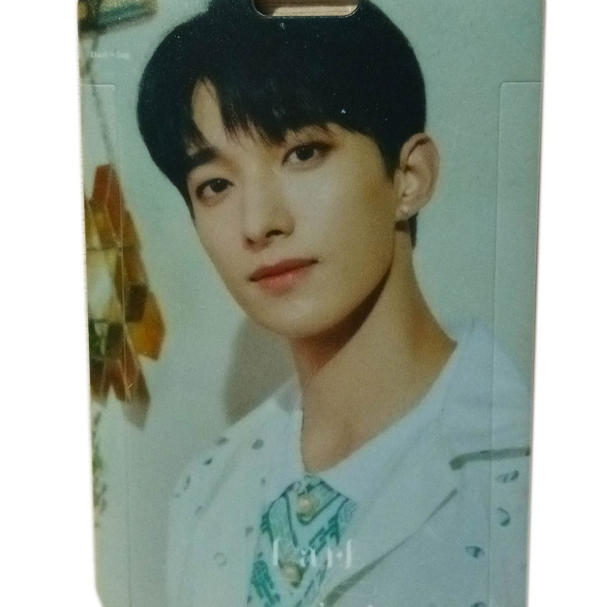 KPOP - Portacartas Plásticas Photocards Diseño DK De Seventeen Kpop