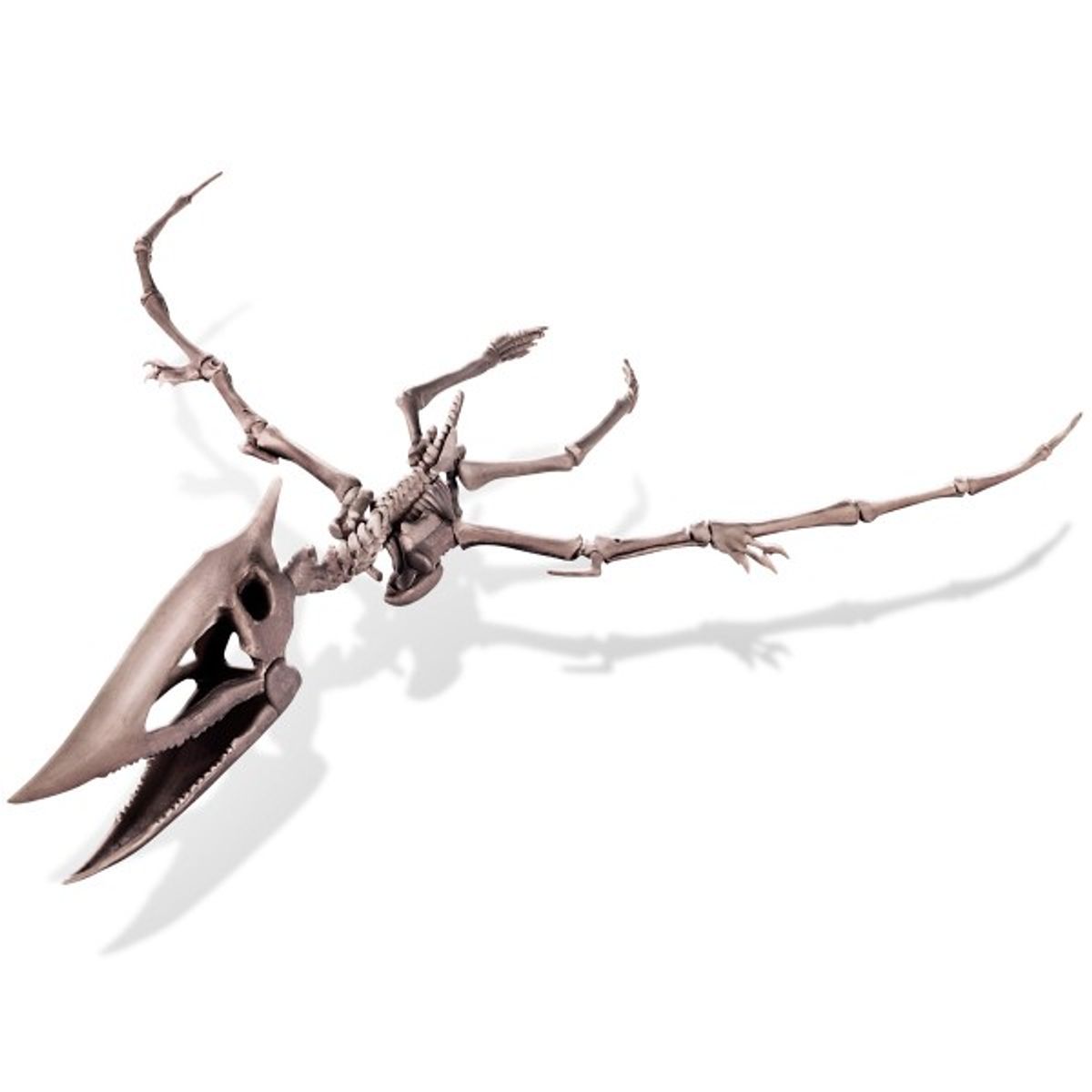 4M - JUEGO DE EXPERIMENTOS EXCAVA UN PTERANODON