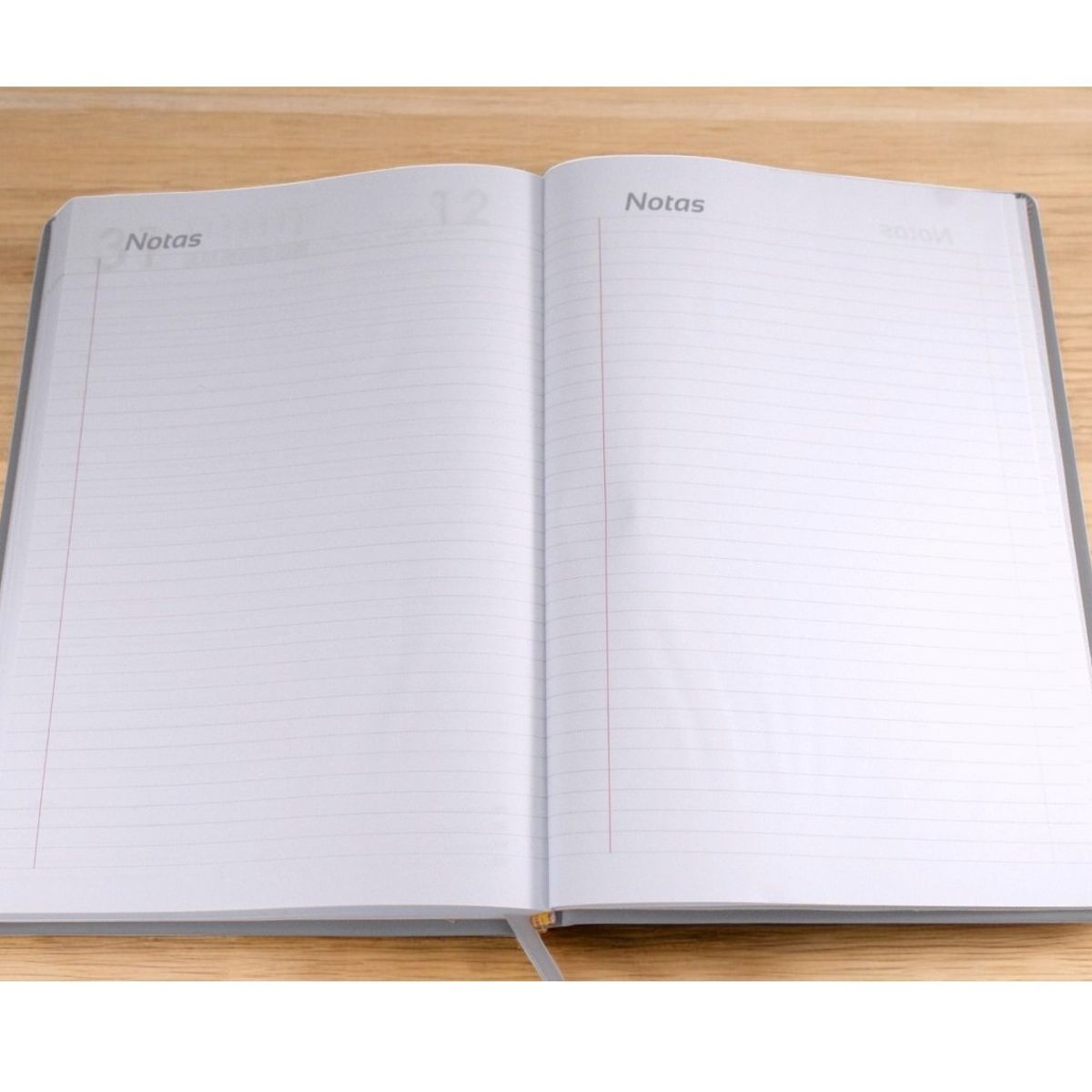 NORMA - Agenda Gerencial Permanente Catania Azul Con Planeador Anual