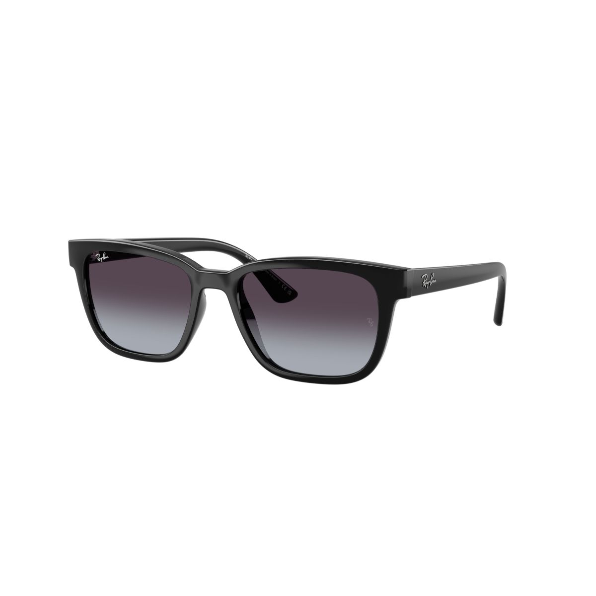 RAY BAN - Gafas de Sol Ray-Ban RB4448 Negro Hombre y Mujer