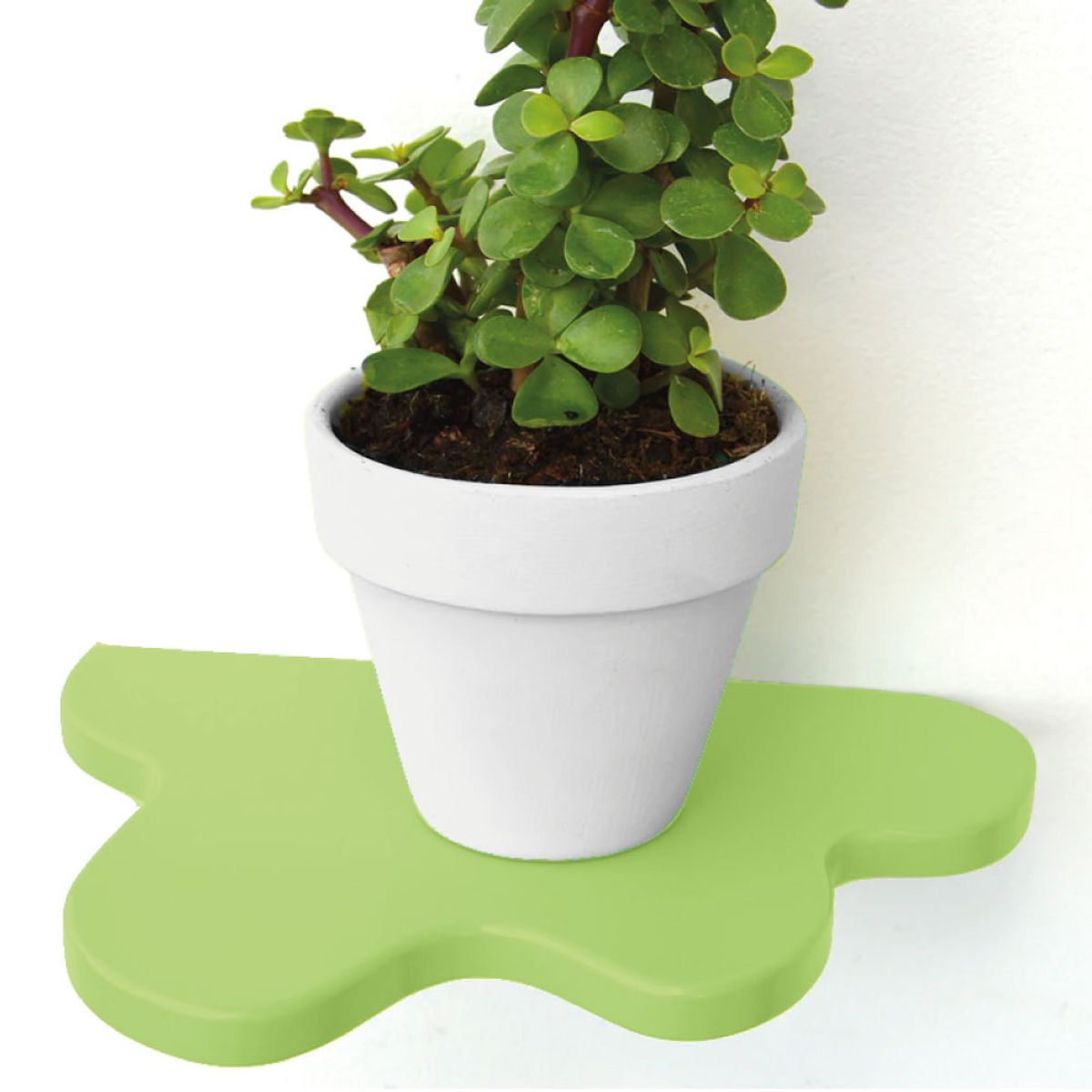 GENERICO - Repisa Decorativa Verde