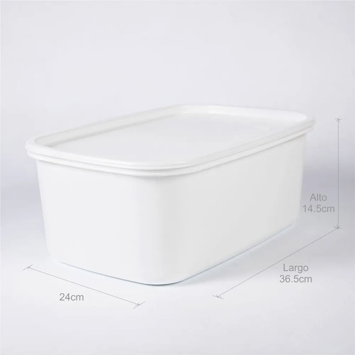 ESTRA - Recipiente Plastico Rectangular para congelacion 8L blanco 4-1043085