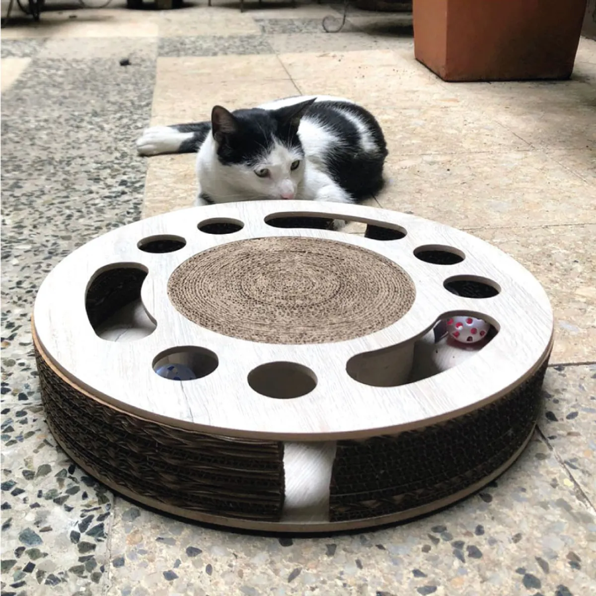 GENERICO - Juego Didáctico Gatuno En Cartón