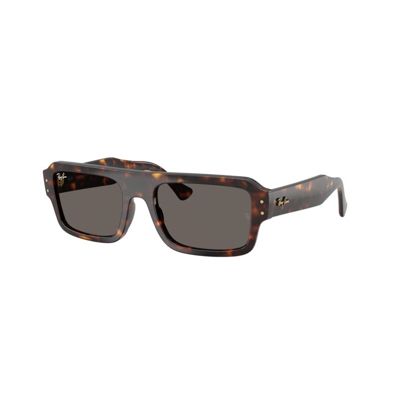 RAY BAN - Nueva Colección - Gafas de Sol Ray-Ban Lukas Marrón