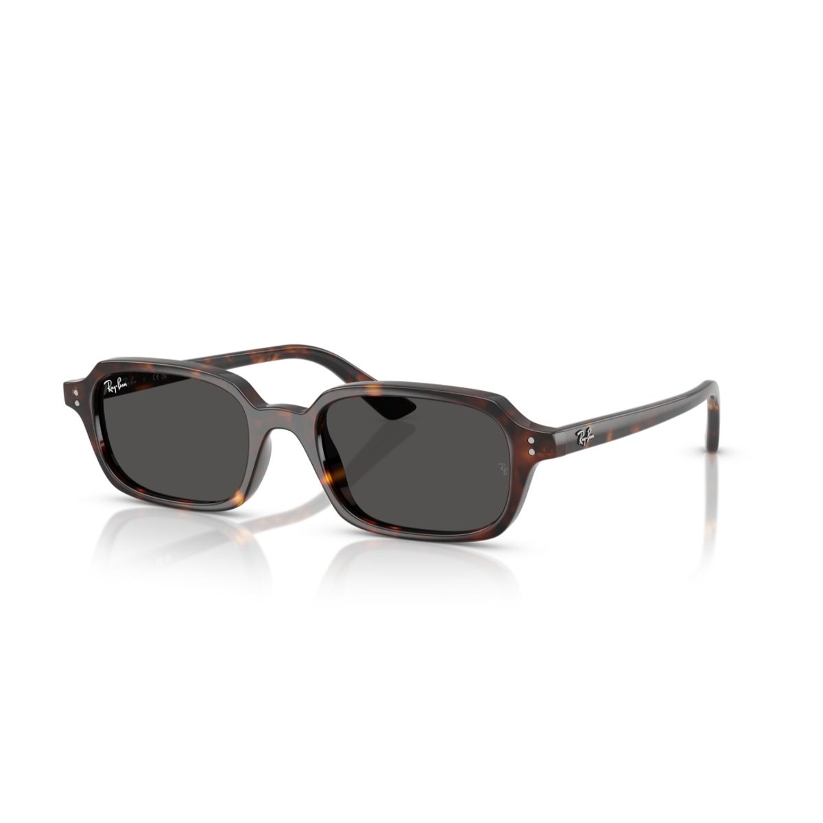 RAY BAN - Gafas de Sol Ray-Ban Zuri RB4455 Marrón Hombre y Mujer