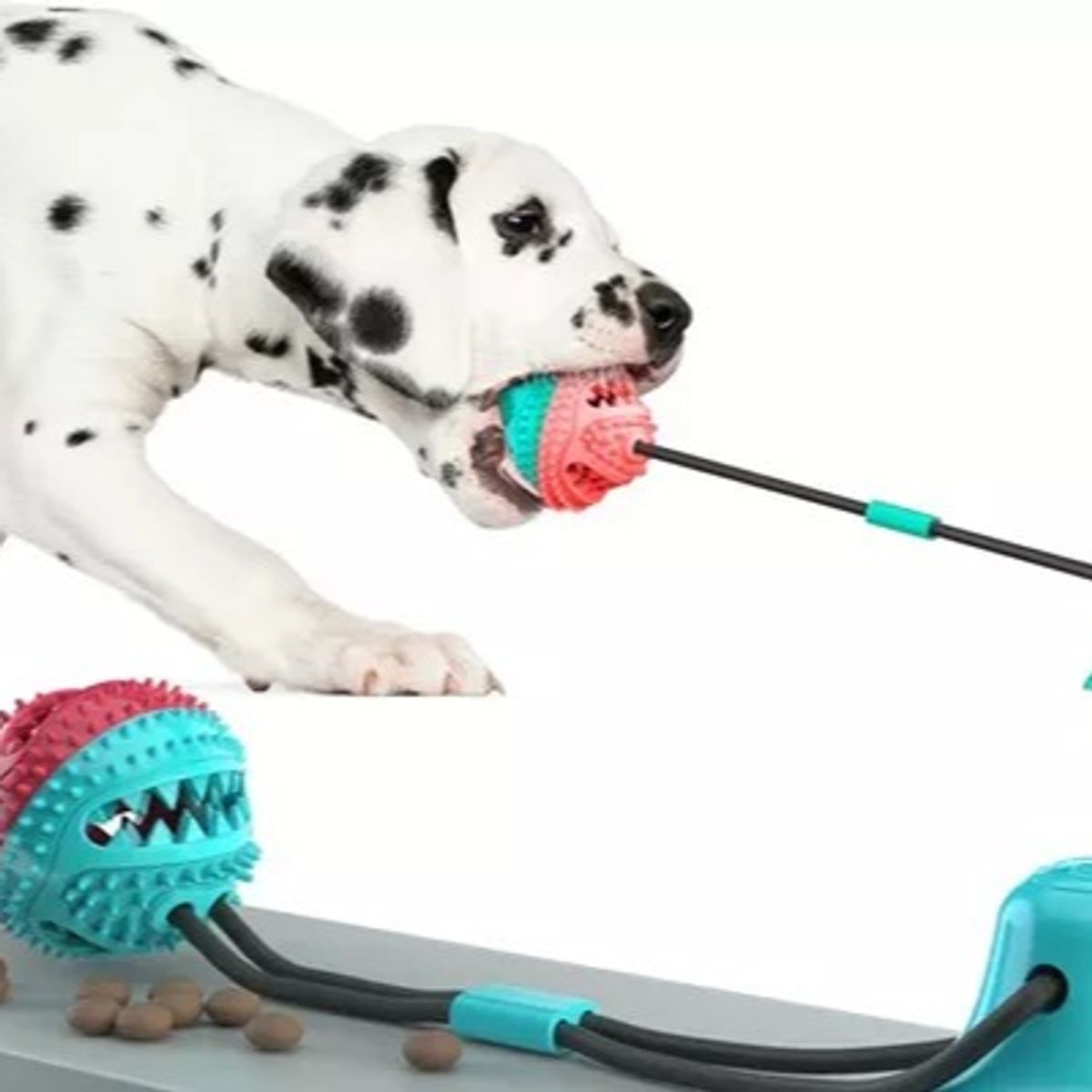 GENERICO - JUGUETE PERRO GATO MASCOTA CACHORRO PELOTA SONIDO