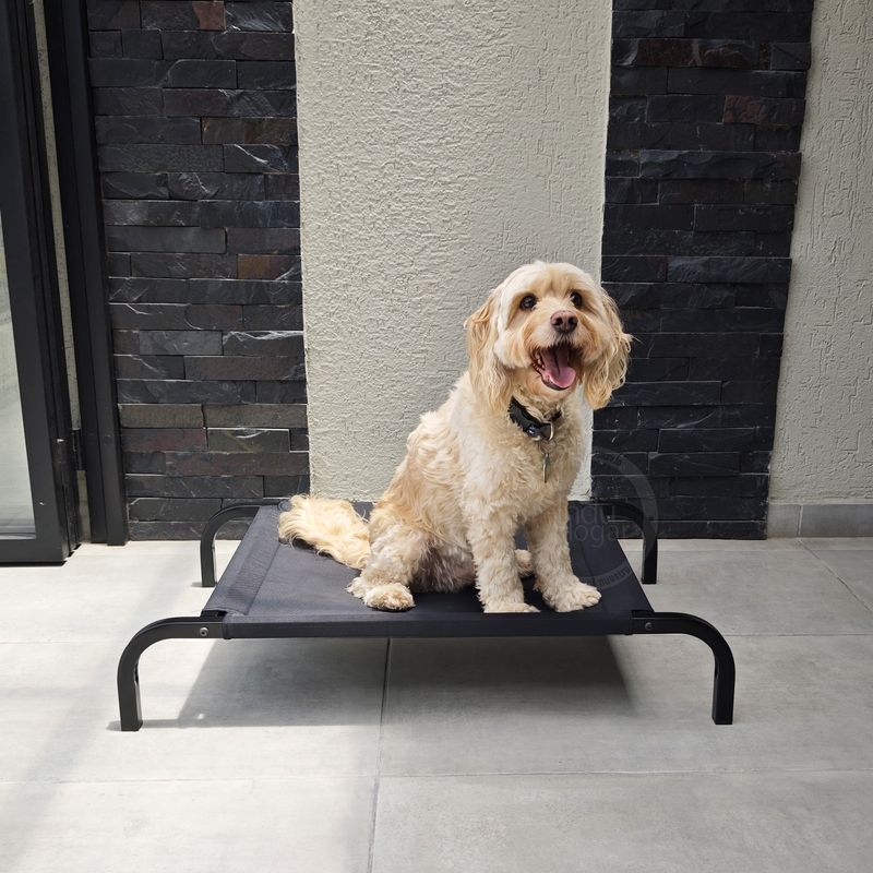 INDUHOGAR - Cama elevada para perros en tubo y lona antifluidos talla M