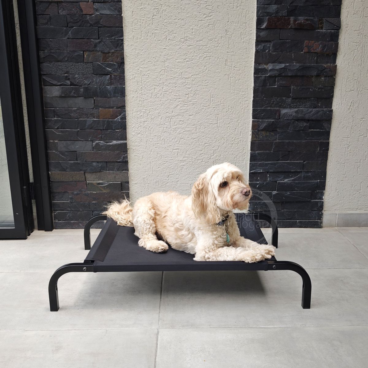 INDUHOGAR - Cama elevada para perros en tubo y lona antifluidos talla M