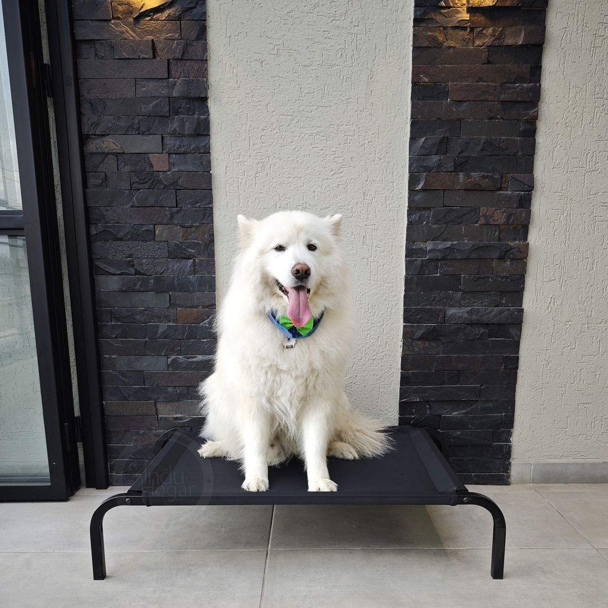 INDUHOGAR - Cama elevada para perros en tubo y lona antifluidos talla L