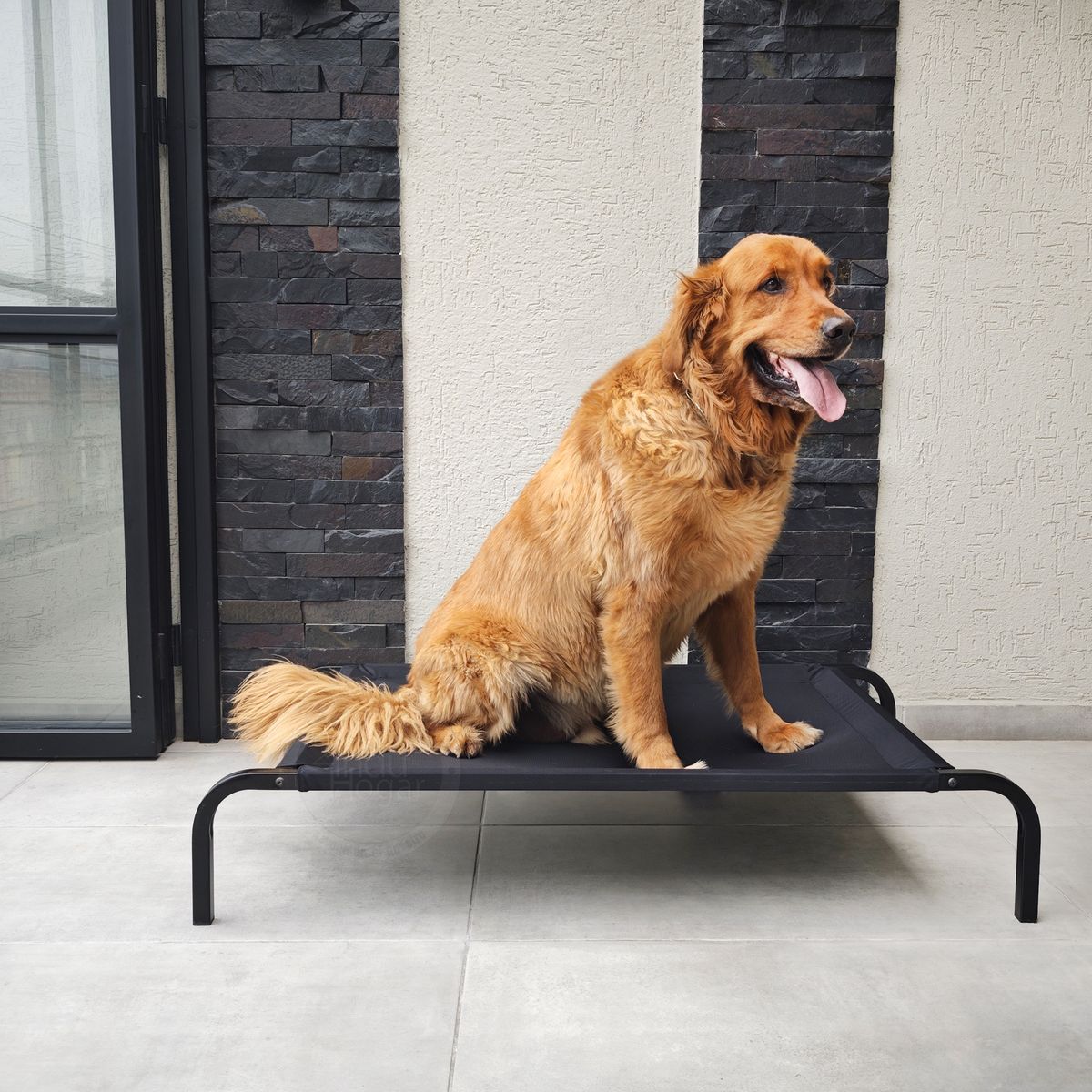 INDUHOGAR - Cama elevada para perros en tubo y lona antifluidos talla XL