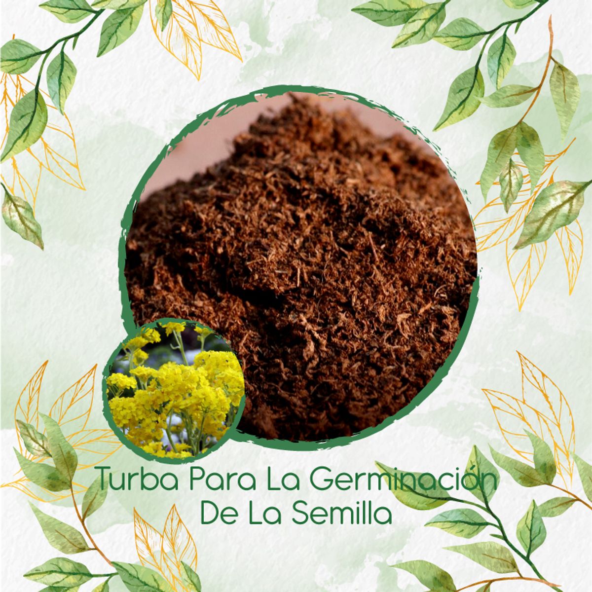GENERICO - Turba Canadiense Especial Para Semillas De Aliso Amarillo
