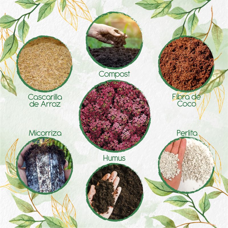 GENERICO - Kit De Acondicionadores De Suelos Para Flor Aliso Rosa