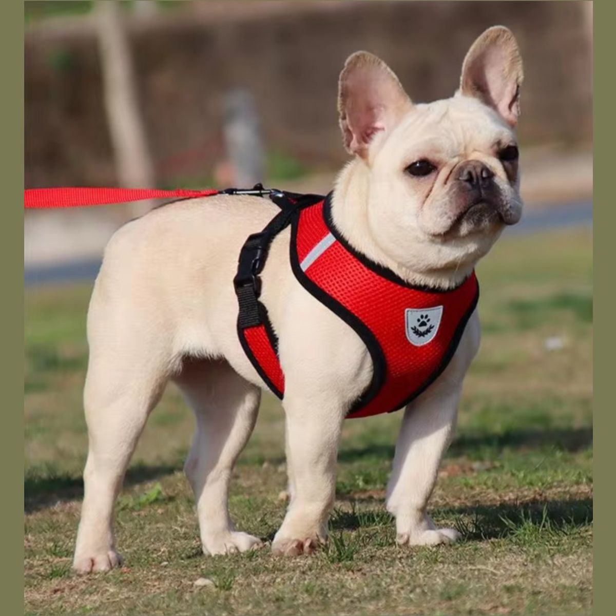 GENERICO - Arnes Pechera Chaleco Para Perro Y Gato  Raza Pequeña Rojo S