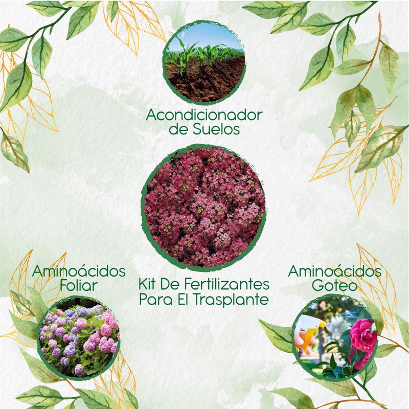 GENERICO - Kit De Fertilizantes Para El Trasplante De Flor Aliso Rosa