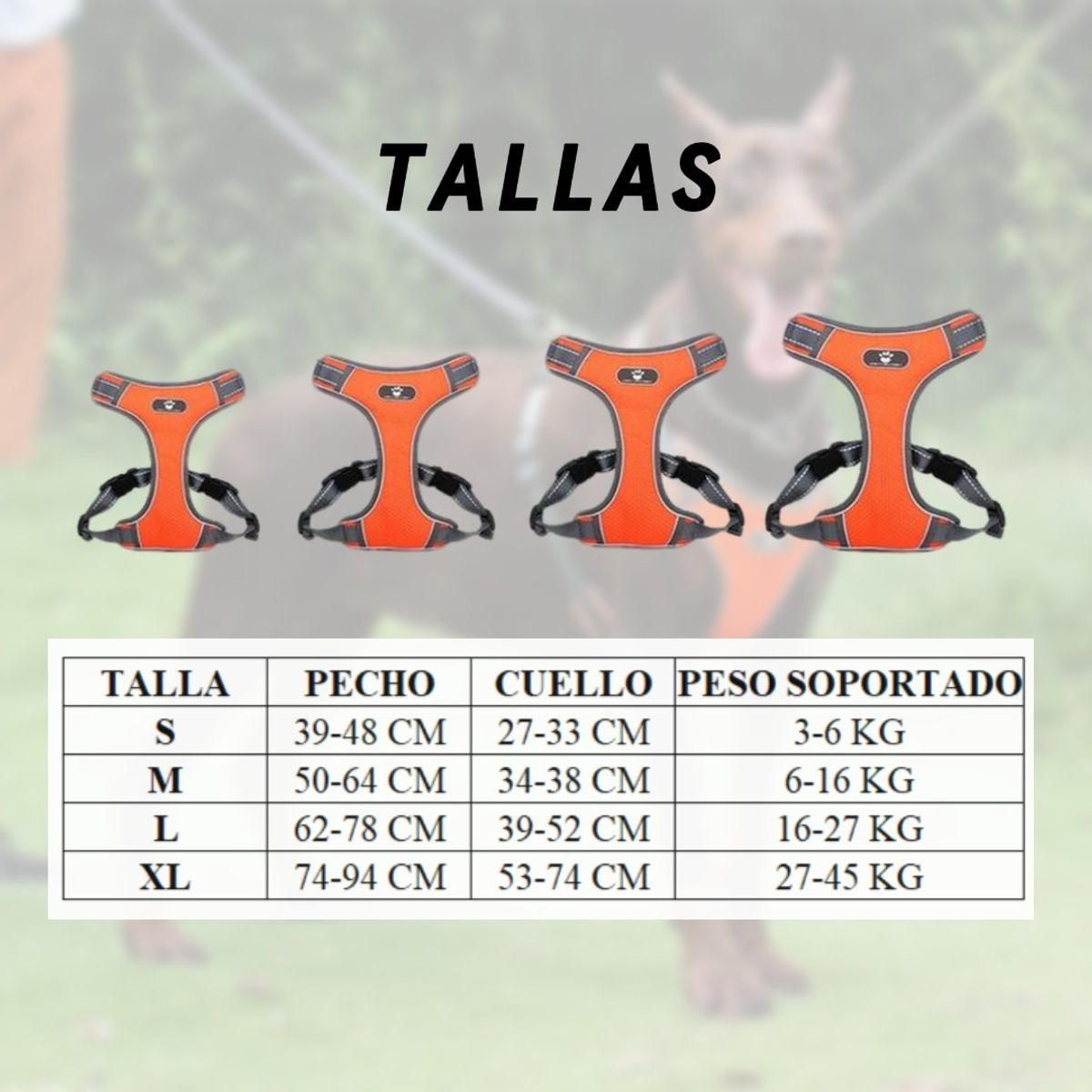 GENERICO - Pechera Para Perro Razas Medianas Y Grande Azul Claro Talla M