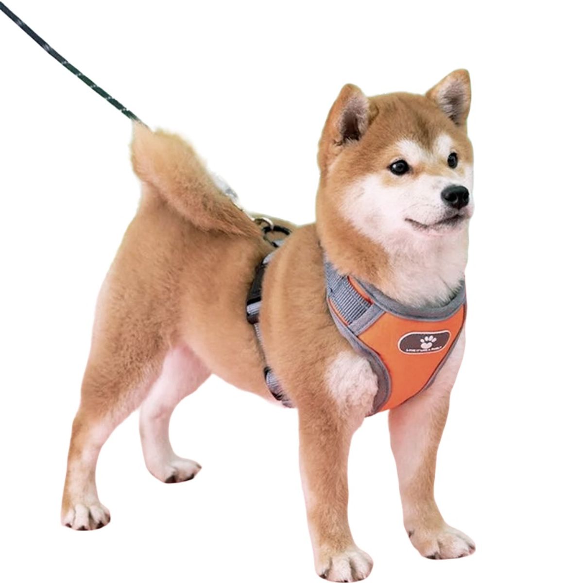 GENERICO - Pechera Para Perro Razas Medianas Y Grande Naranja Talla L