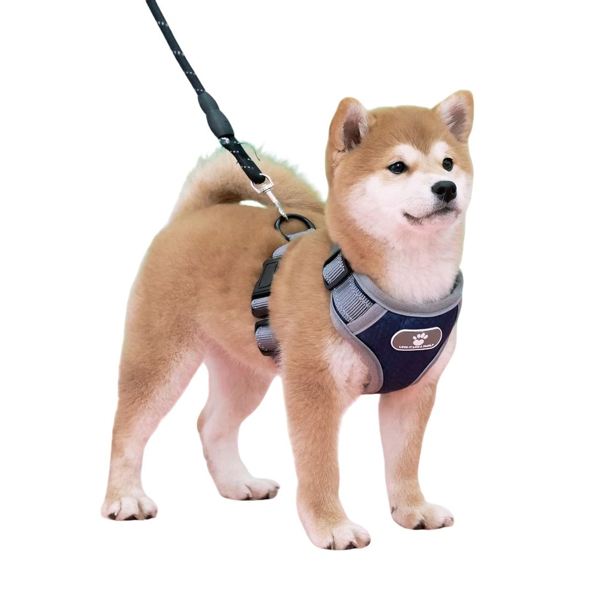 GENERICO - Pechera Para Perro Razas Medianas Y Grande Azul Oscuro Talla XL