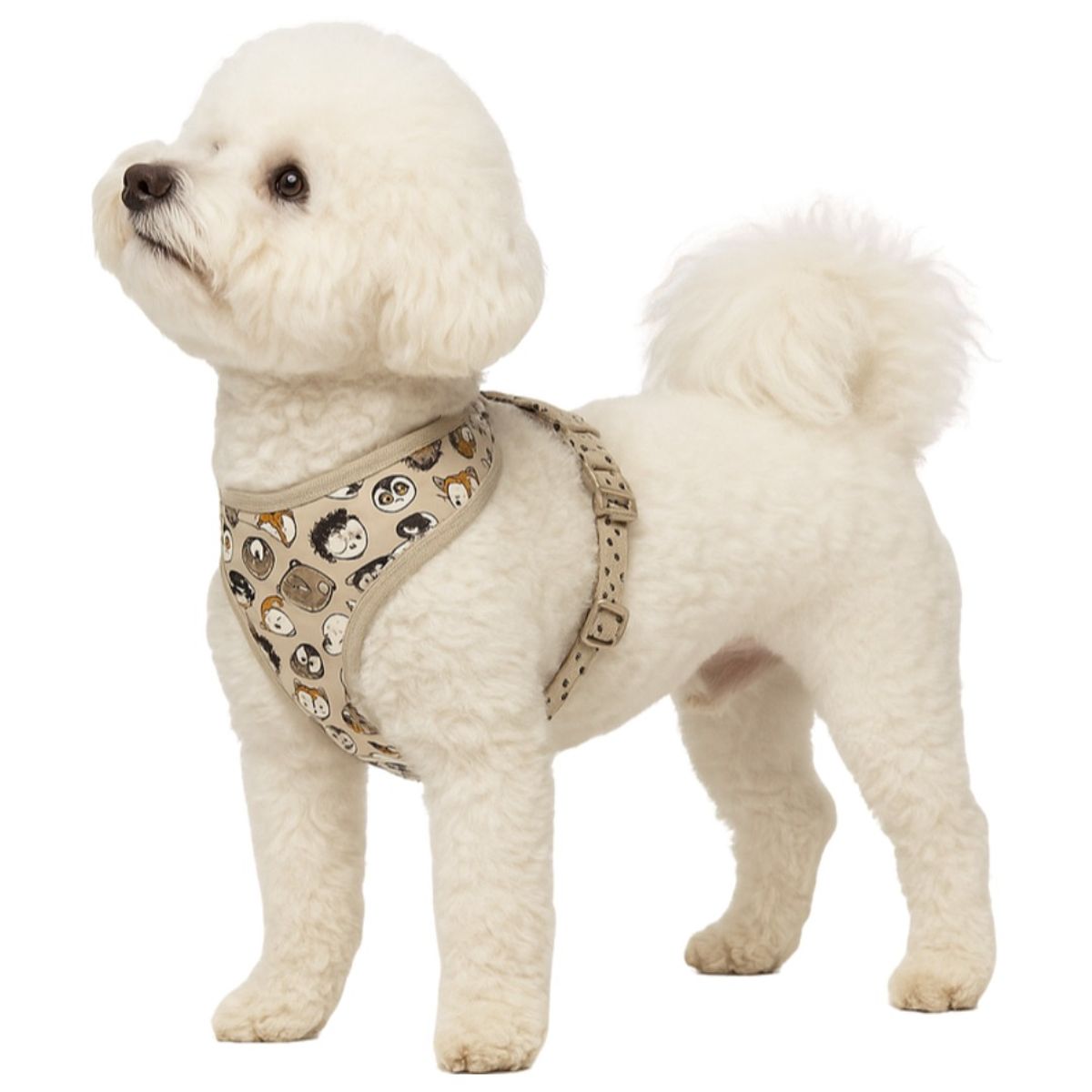 GENERICO - Arnes Perro Con Estampado Razas Pequeñas Marron M