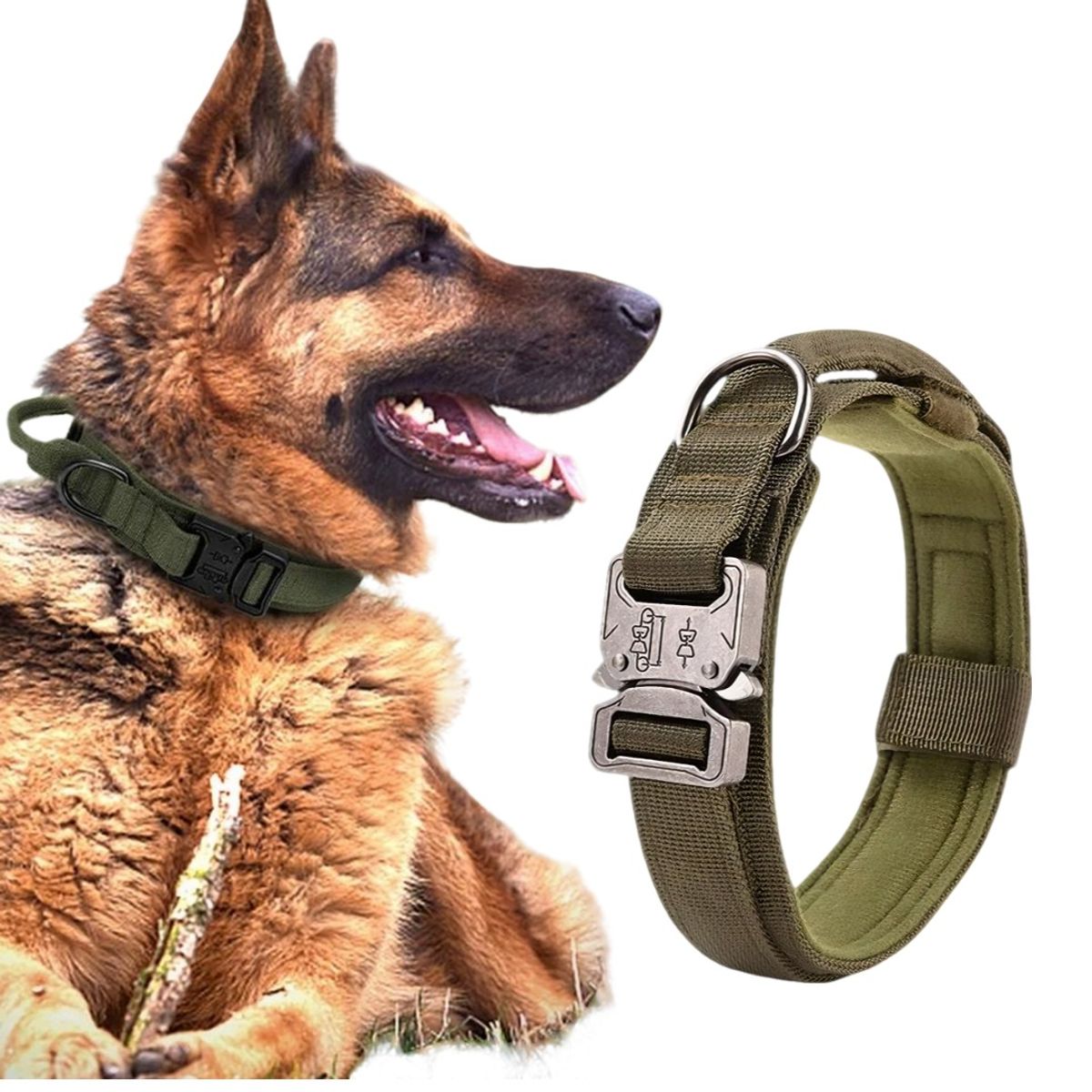 GENERICO - Collar Táctico Avanzado Para Perros Con Herraje Metálico Verde M