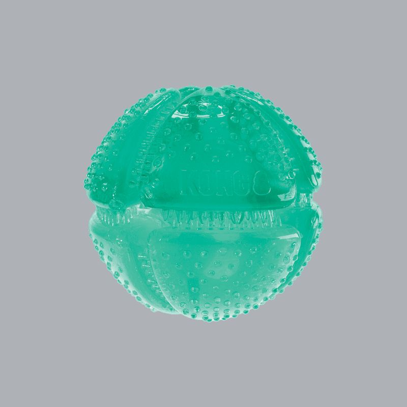 KONG COMPANY - KONG Squeezz Dental Ball - Pelota Perro talla M