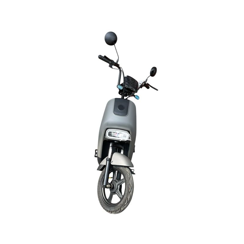 FPIMPORT - FP-BIKE 350W GRIS