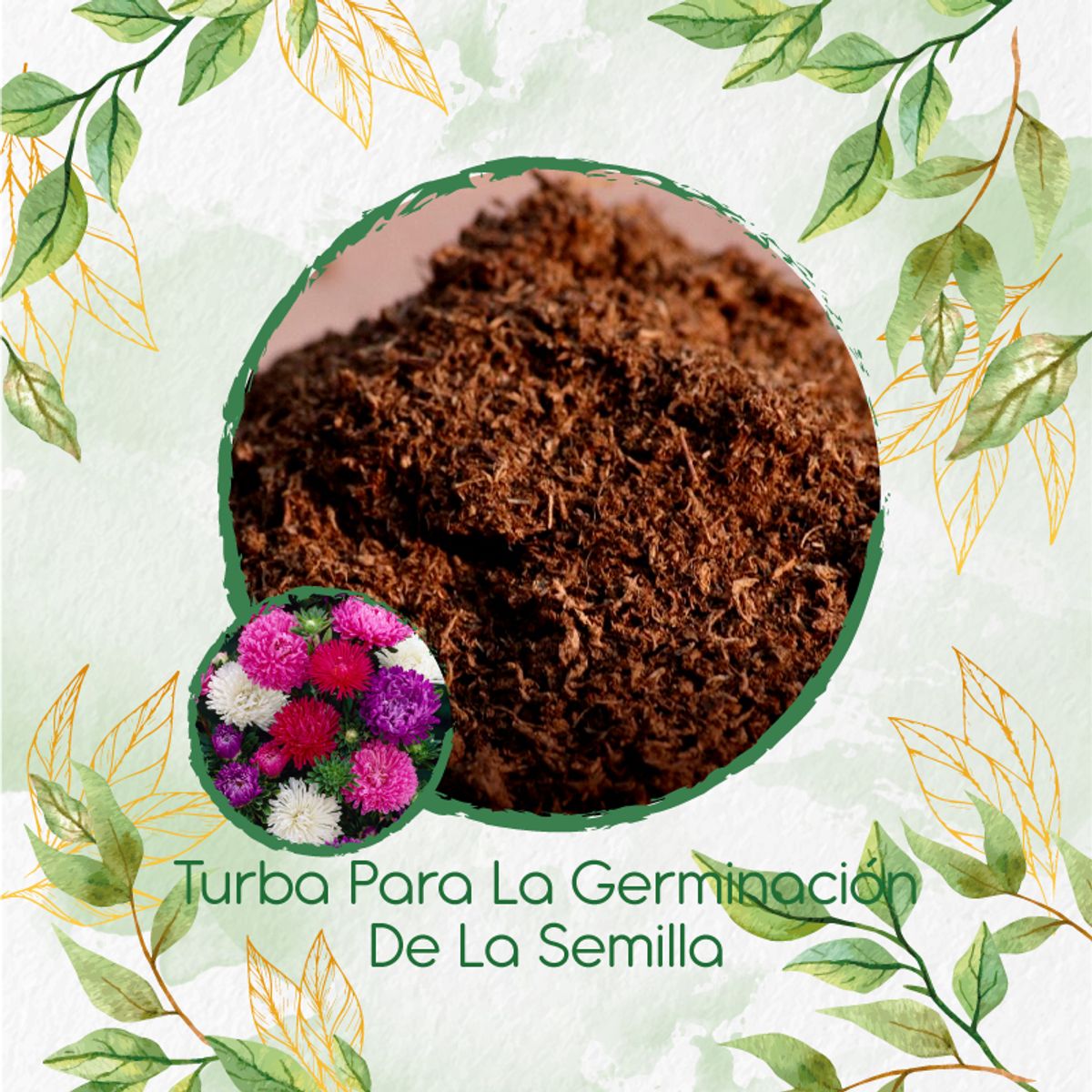 GENERICO - Turba Canadiense Especial Para Semillas De Aster