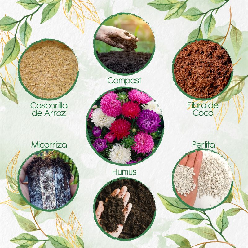 GENERICO - Kit De Acondicionadores De Suelos Para Flor Aster