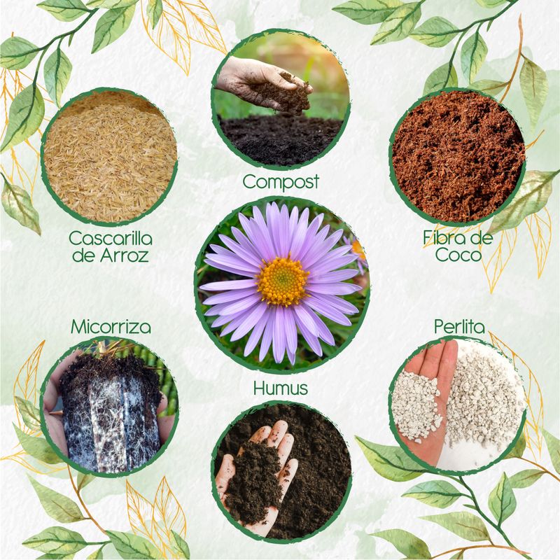 GENERICO - Kit De Acondicionadores De Suelos Para Flor Aster Alpinus