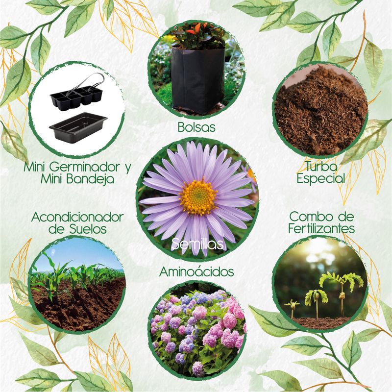 GENERICO - 60 Semillas De Flor Aster Alpinus + Kit De Germinación