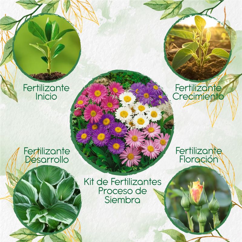 GENERICO - Kit De Fertilizantes Para La Siembra De Flor Aster Arco Iris