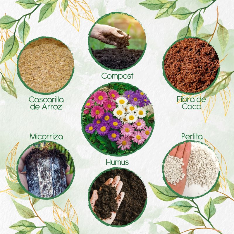 GENERICO - Kit De Acondicionadores De Suelos Para Flor Aster Arco Iris