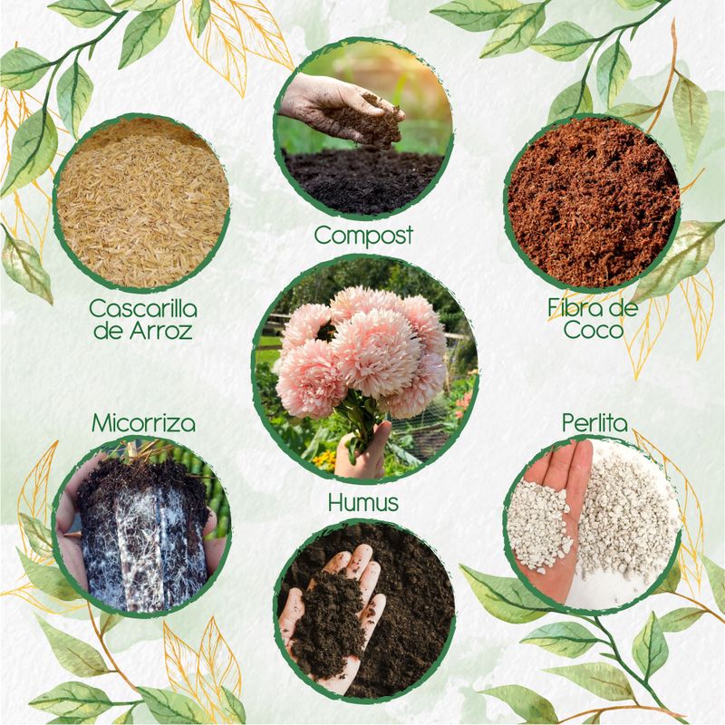 GENERICO - Kit De Acondicionadores De Suelos Para Flor Aster Chino