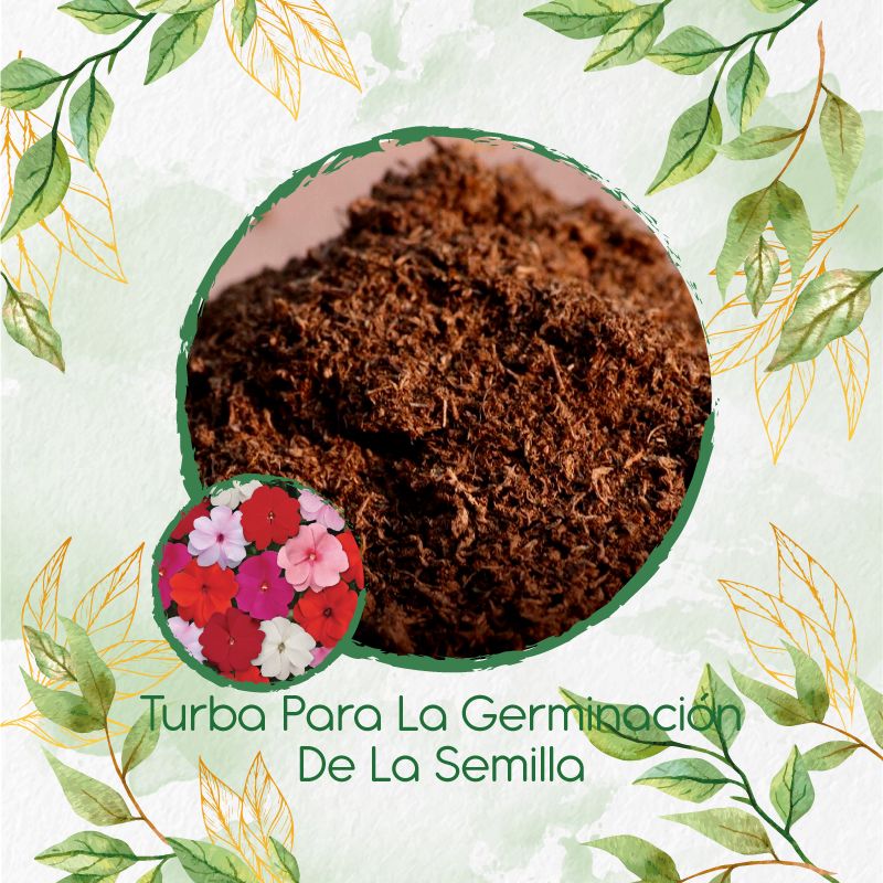 GENERICO - Turba Canadiense Especial Para Semillas De Besitos