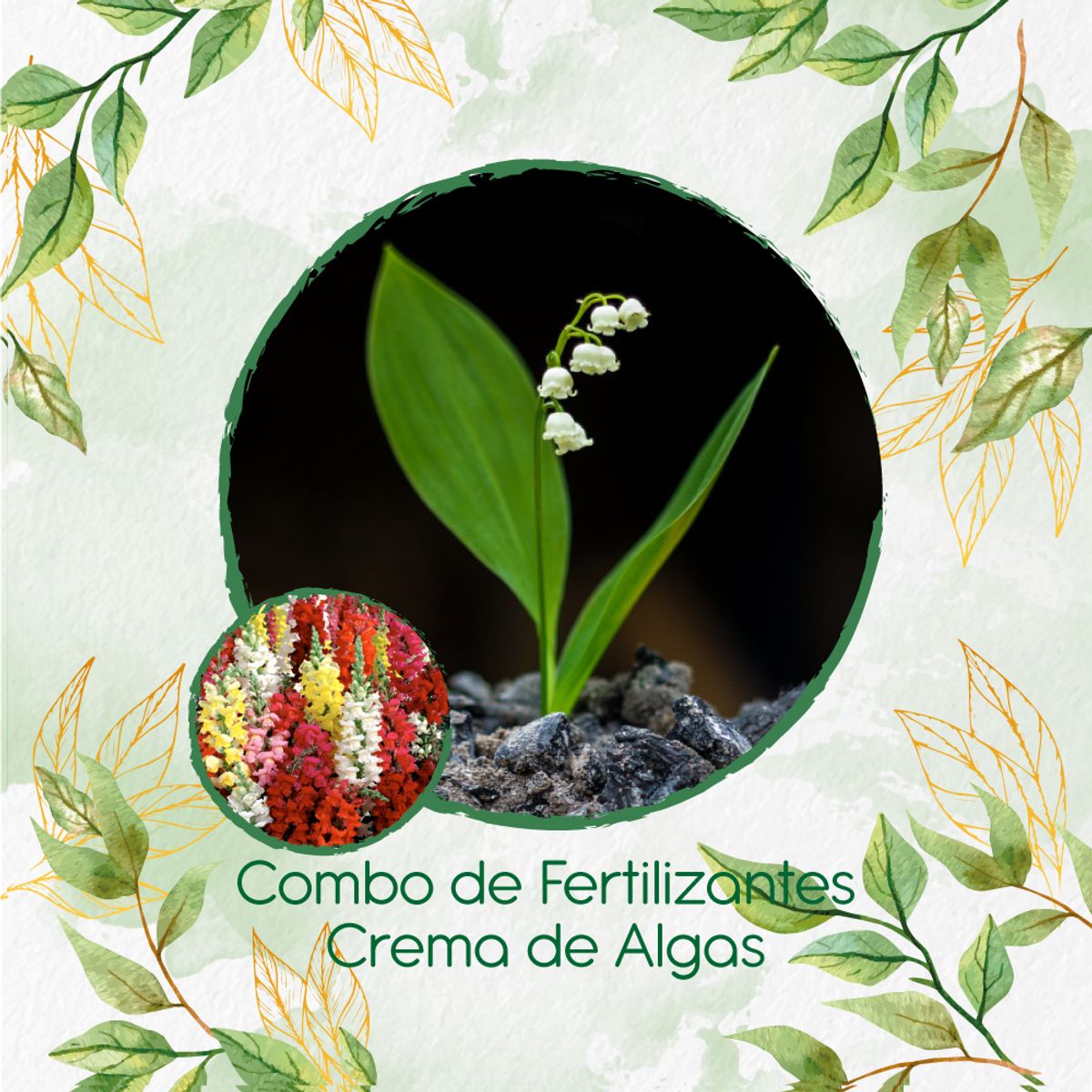 GENERICO - Combo De Fertilizantes Crema De Algas Para Flor Boca De Dragón