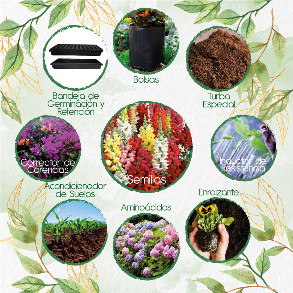 GENERICO - 3.200 Semillas De Flor Boca De Dragón + Kit De Producción