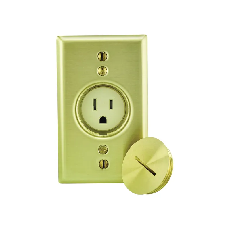 LEVITON - Tomacorriente piso Sencillo Leviton T5250-B 15A 125V 5-15R
