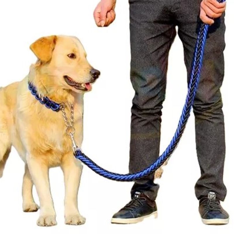GENERICO - CORREA COLLAR GRUESO PERRO GRANDE MEDIANO AHOGO RESISTENTE