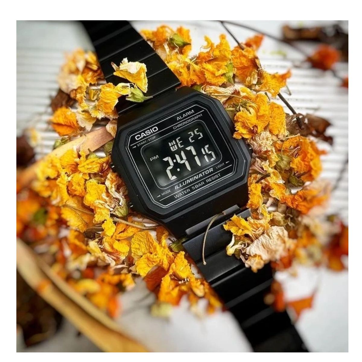 CASIO - Reloj Casio B650WB-1B Diseño clásico