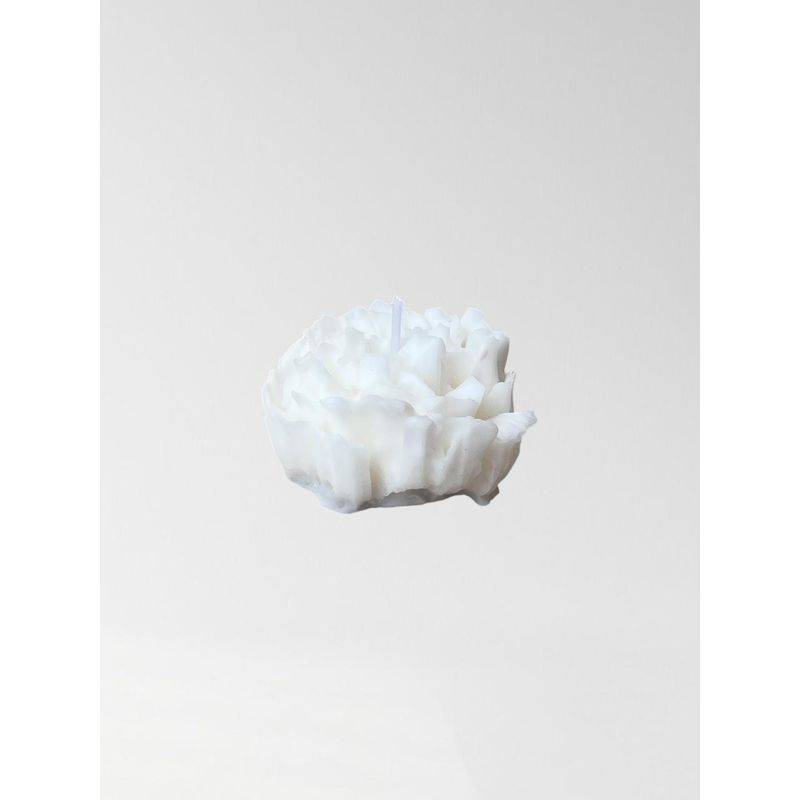 GENERICO - Vela Flor Clavel Blanca