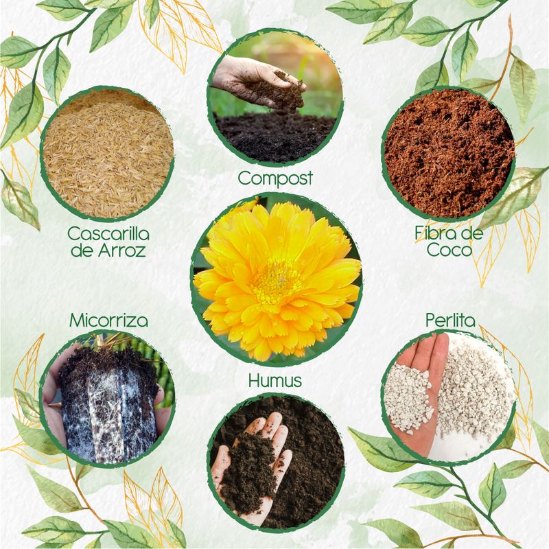GENERICO - Kit De Acondicionadores De Suelos Para Flor Caléndula Amarilla