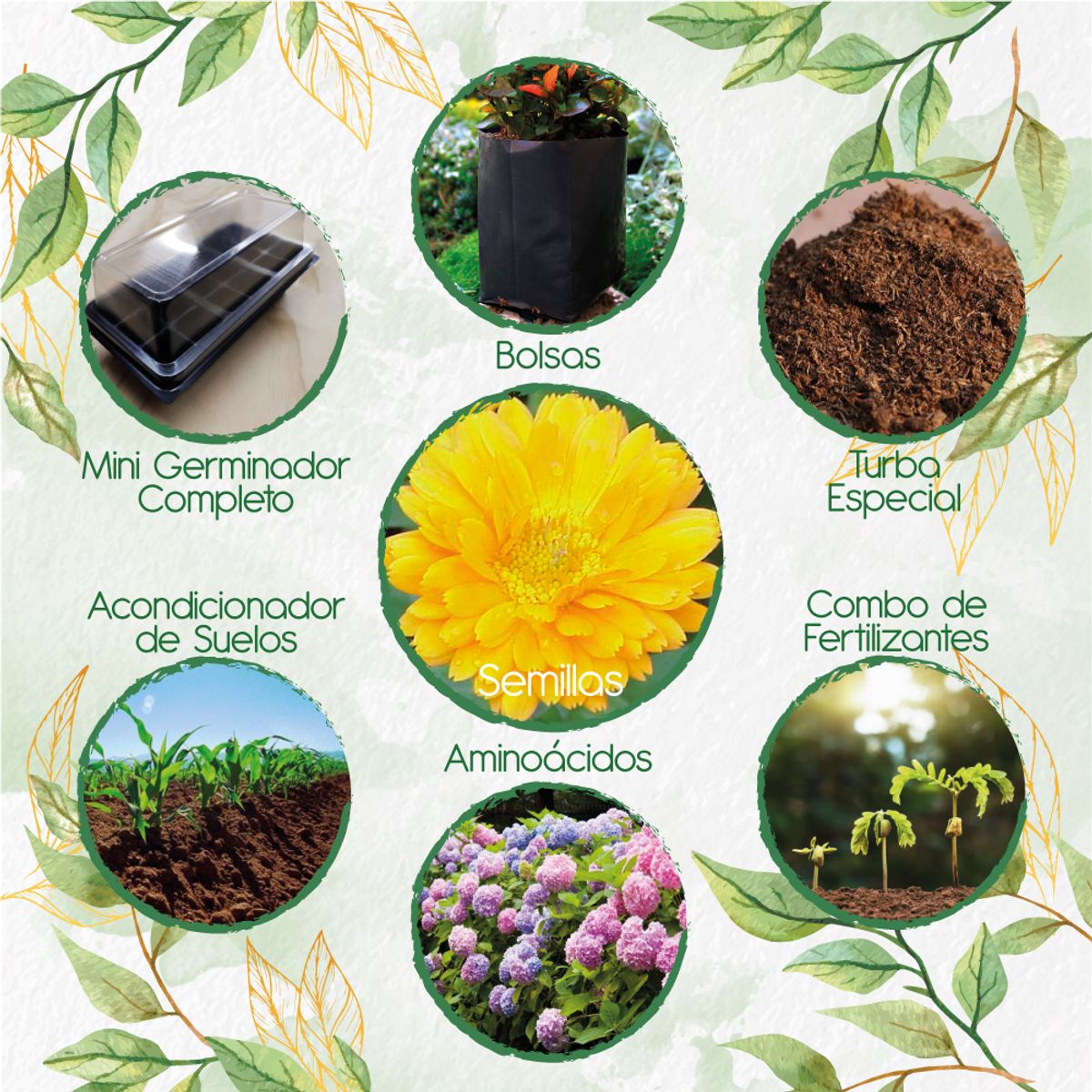 GENERICO - 140 Semillas De Flor Caléndula Amarilla + Kit De Germinación Especial