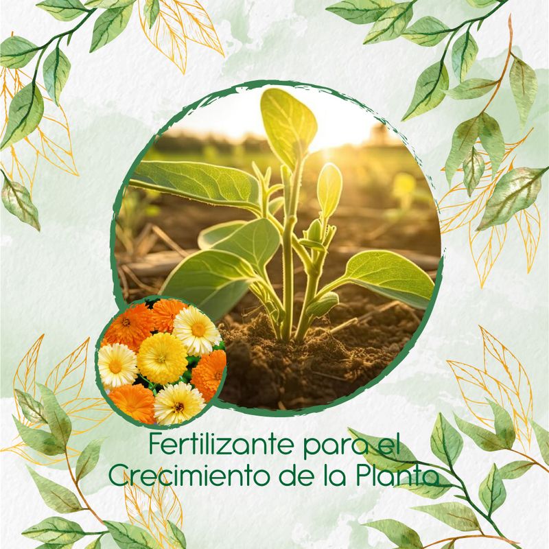 GENERICO - Fertilizante Para El Crecimiento De Flor Caléndula Mezcla