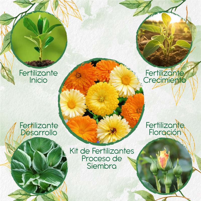 GENERICO - Kit De Fertilizantes Para La Siembra De Flor Caléndula Mezcla