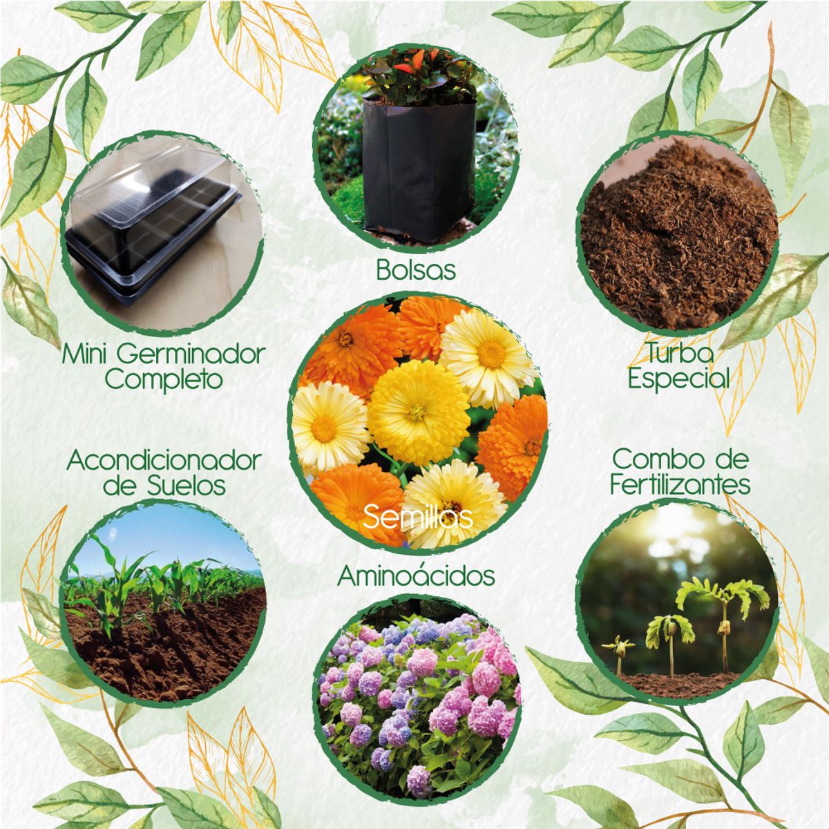 GENERICO - 140 Semillas De Flor Caléndula Mezcla + Kit De Germinación Especial